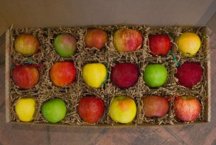 2014 Gift Apples